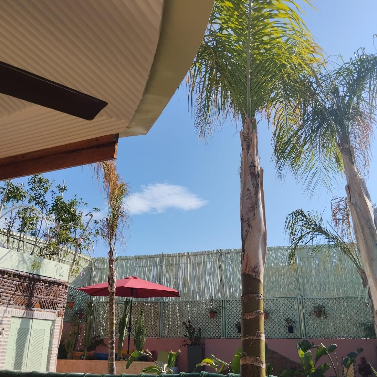 马拉喀什 查尔卡姆庭院旅馆酒店 外观 照片